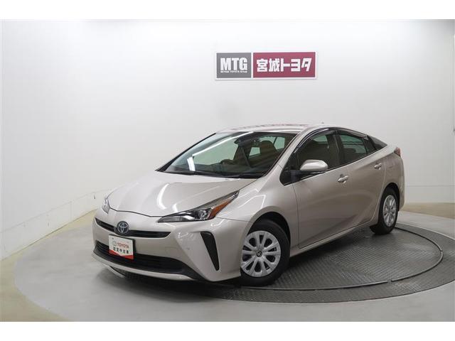 ץꥦ ӡףġե륻꡼ʥ 0903755A20251029T001 1