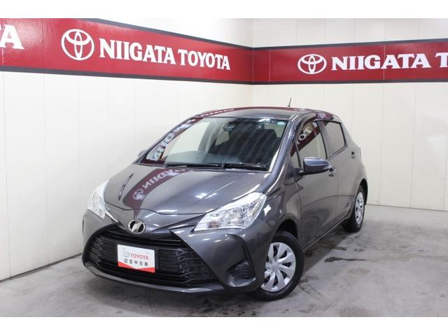 ãġʥӣԣ֡ɥ饤֥쥳ţԣáХå˥ 1