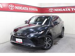 ȥ西ϥꥢϥ֥åɡǡףġʥӡԣ֡ﳲڸƥ