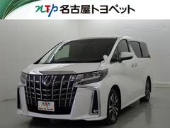 ȥ西եɡӡåѥåﳲڸƥࡡ꡼ʥ