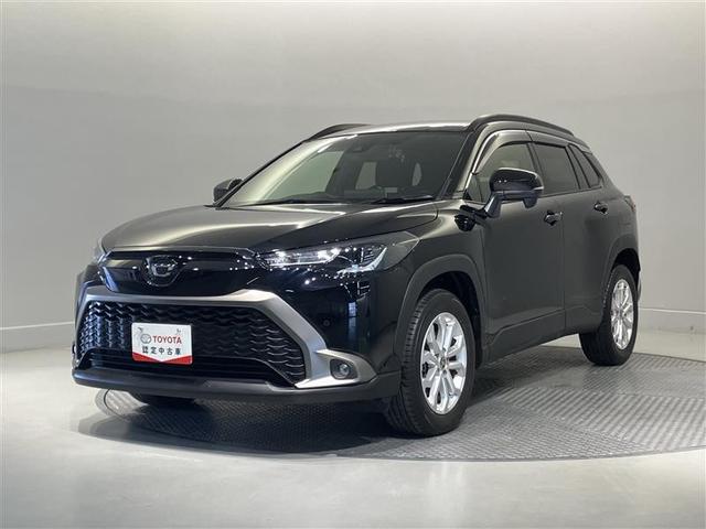 誠に勝手ながら東海地方に在住で現車の確認が可能な方への販売に限らせて頂き