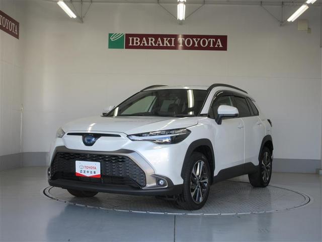 饯 ϥ֥åɡڡܳץȡͷڸ 0401142A20251030T001 1