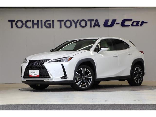 ڸޤܸ߽ǡŹؤȤƤ 1