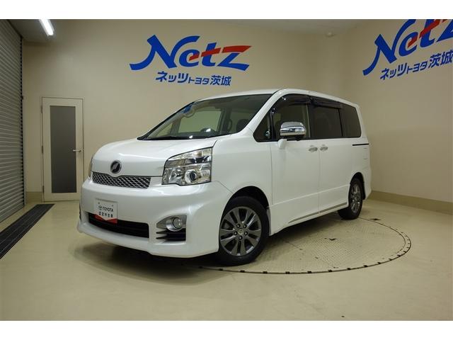 븩ˤޤؤ˸¤餻Ƥޤ ڥߥ˥ХӤϥޥͤΤŹǡۣʥӡܣʥ˥ܣ¥ 1