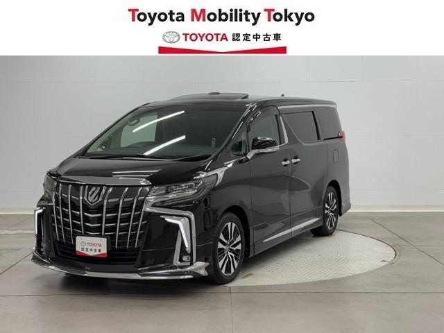 ȥ西 ե ӡåѥåξưɥ¥˥