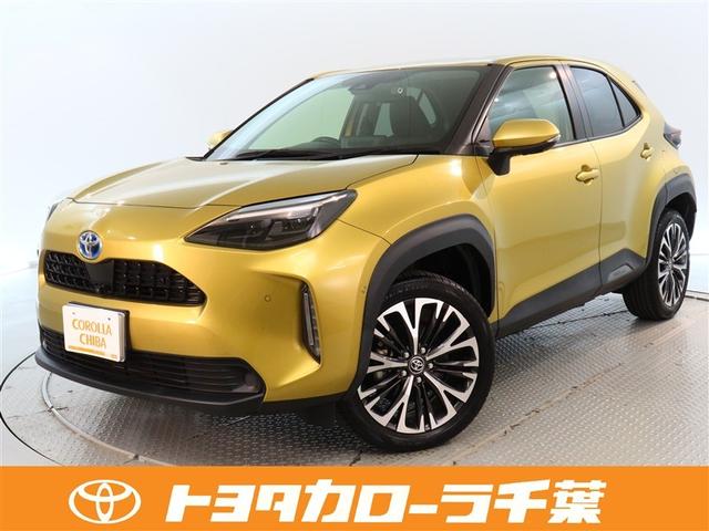 ʥӡɥ쥳롼ȥ롦ѥȡţԣáХå 1