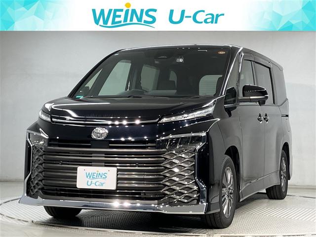 ȥ西  ӡݣǡҥ顡ߥ塼åץ쥤䡼³ġ꡼ʥ