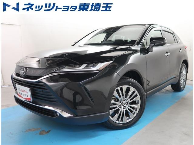 ȥ西 ϥꥢ ڡʣ£̥ɡϥ顡ﳲڸ