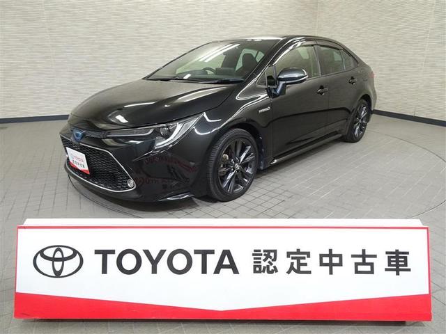 䤤礻ե꡼룰ݣݣ Ҥż䥨ꥢʼ˸ΤߤȤʤޤޤžŪΤͤؤ 1