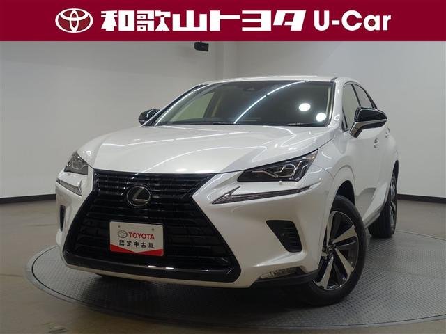 쥯 Σ Σأ֥å󥹡ե륻꡼ʥӡģ֣ĺ