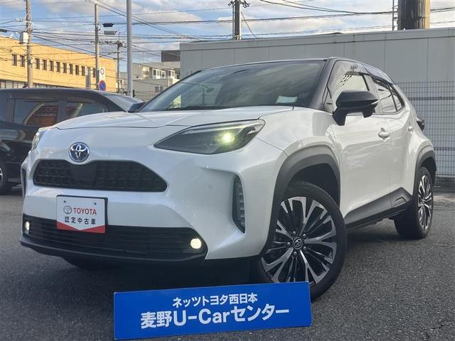 ꥹ ϥ֥åɣڡߥۥ롡̣ţĥ饤ȡꥢ 0800411A20251030T001 1