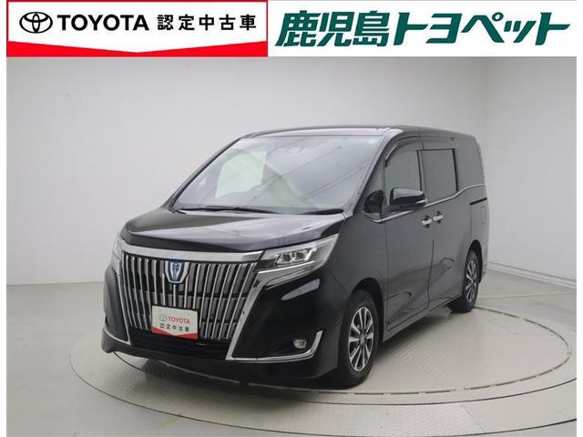 ꡼ʥӡե륻Хå˥ʼ縩˸¤餻Ƥ 1