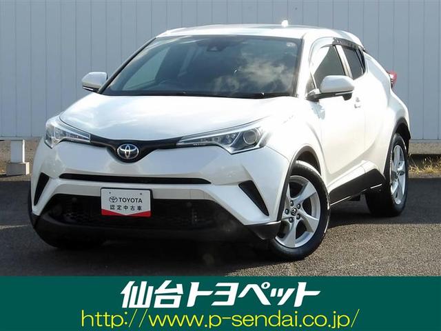 ܾż֥󥿡ꡡڡˣ䳫ϡ 1