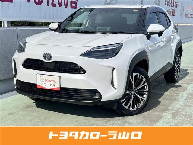 ꥹ ڡХå顡ﳲڸƥࡡţԣ 1030228A20251030T005 1