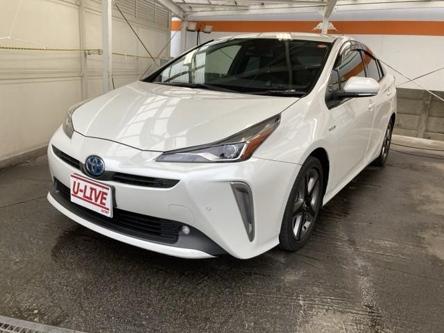 ȥ西 ץꥦ ӥġ󥰥쥯󡡥Хåϥǥʡ