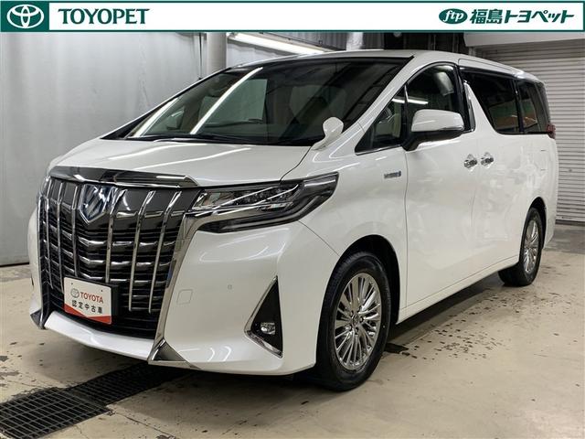 ȥ西 եɥϥ֥å ǡףġե륻꡼ʥ