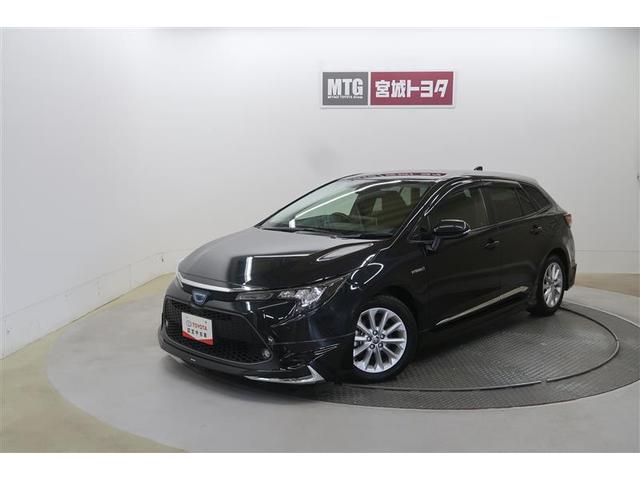 ġ ϥ֥åɡӡﳲڸƥࡡʥӡԣ 0101418A20251031T003 1