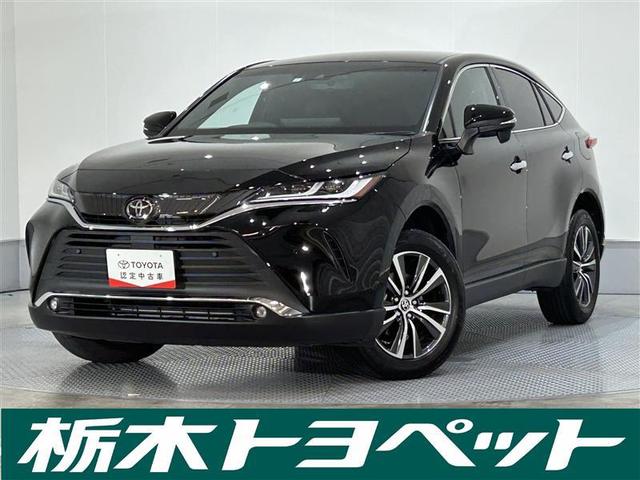 ڸ⡢ܻĮ¼ˤޤǡҤˤŹǽ˸¤餻ĺޤ 1