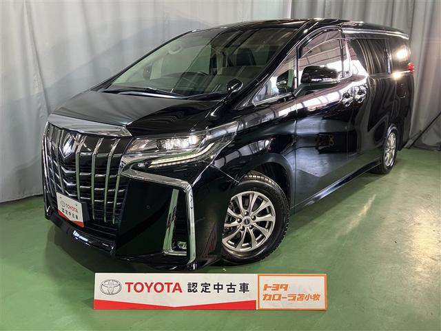 ե ӡåѥåףġХå 0303600A20251031T002 1