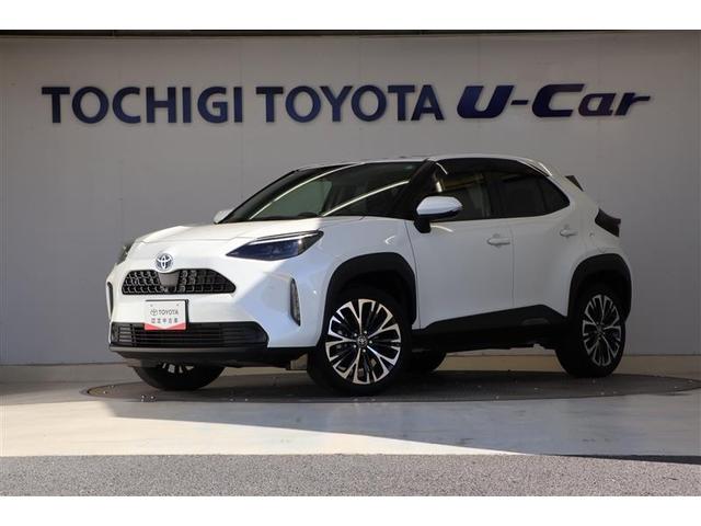 ڸޤܸ߽ǡŹؤȤƤ 1