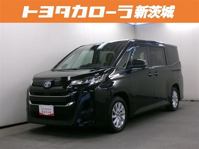 北茨城店　展示