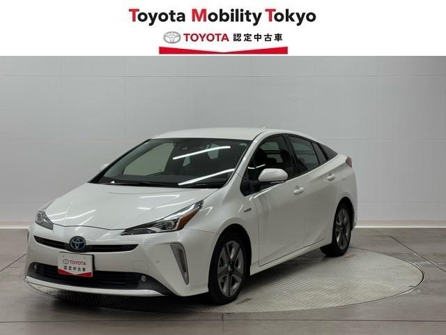 ȥ西 ץꥦ ӥġ󥰥쥯󡡥Хå¥ˡ