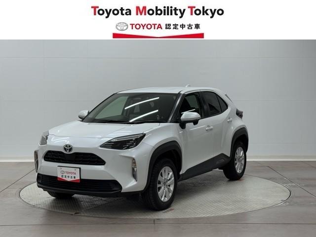 ȥ西 ꥹ ǡţԣ䥫顡Ͽ