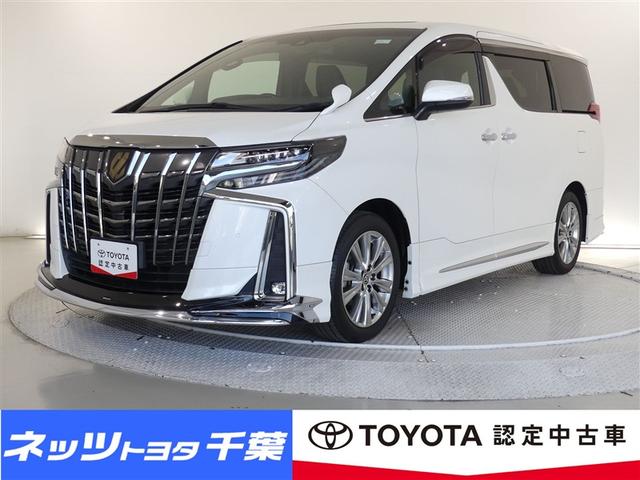 ե ӡץɡ롼աե륻 0501669A20251031T001 1