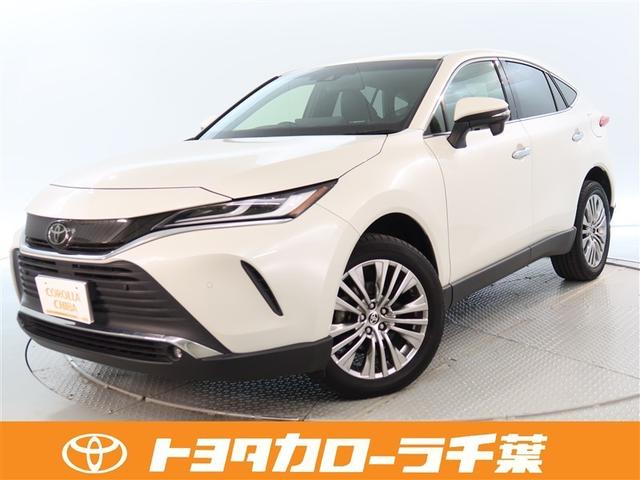 ԣӣӡե륻ʥӡХå˥ţԣá󥪡ʡ 1