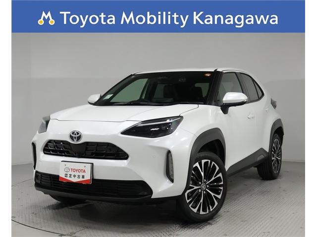 Ҹ֤Ǥģϥ˥ţԣáɥ饤֥쥳 1