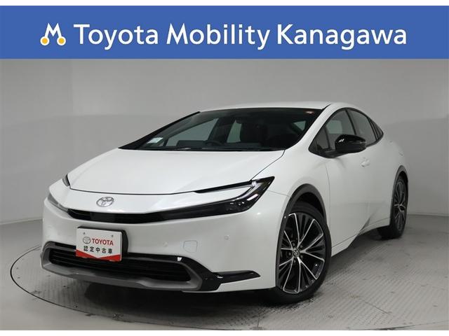 ƥꥢΤ򤹤ߤߤޤǾˡģϥ˥ 1