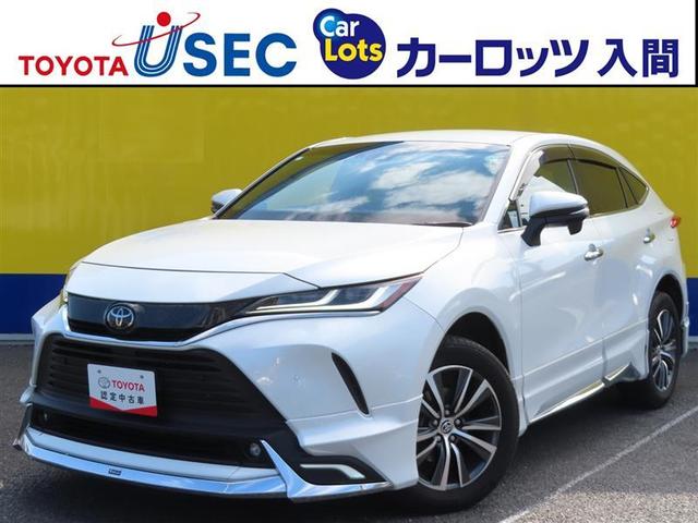 ȥ西 ϥꥢ ǡǥ奢륨Ⱦץȡ