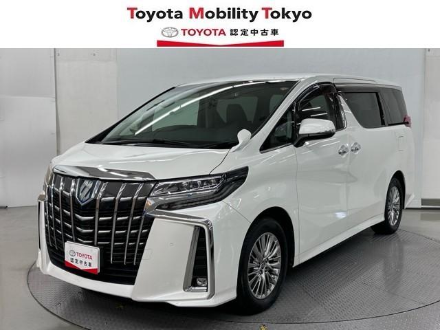 ȥ西 եɥϥ֥å ӣҡåѥåϿХå˥