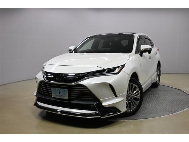 ϥꥢˤޤԣåʥӤȥХå˥ȤƤǥ 1