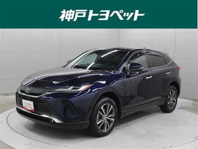 ȥ西 ϥꥢ ǡե륻꡼ʥӡߥ塼åץ쥤䡼³