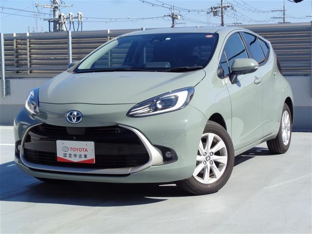 ֡ȥ꡼ʥӥåȡϥ˥֥饤ɥݥå 1