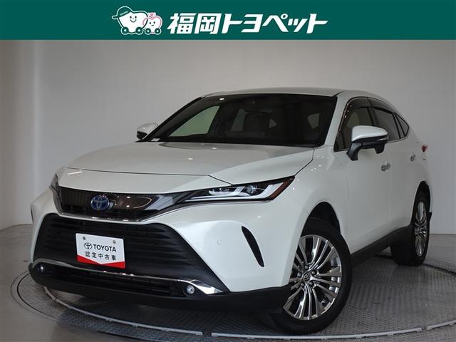 ʡ߽ΤߤؤǤڣ ȥ西͵Σӣգ֡ϥꥢΣڡ줷ϥ֥åɻ͢ 1