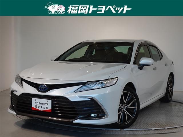 ʡ߽ΤߤؤǤڣ ͵ǳʥƥꥢΥ쥶Уˣǡˢ 1