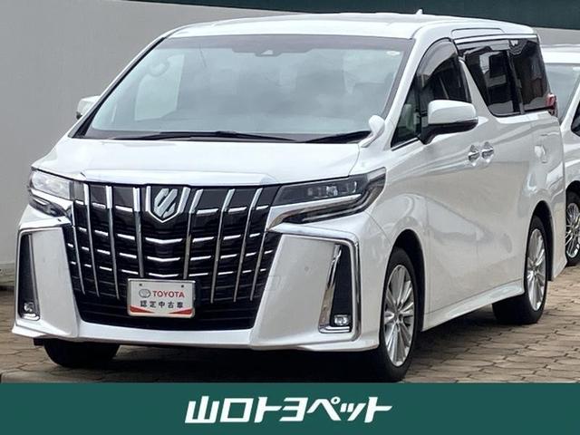 アルファード(トヨタ) 2.5S フルセグ メモリーナビ DVD再生 後席モニター バックカメラ 衝突被害軽減システム ETC ドラレコ 両側電動スライド LEDヘッドランプ 乗車定員7人 3列シート ワンオーナー 中古車画像