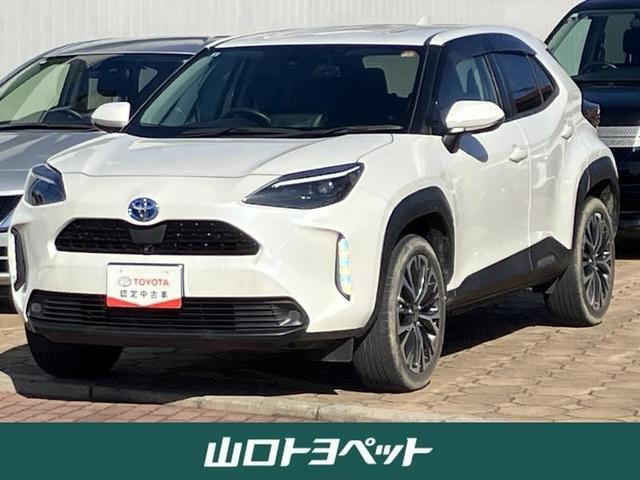 ꥹ ϥ֥åɣڡХå顡ﳲڸƥࡡţԣ 1002219A20251031T007 1