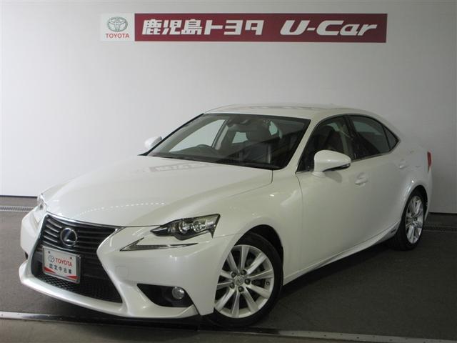 쥯 ɣ ɣӣ衡ϥǥե륻Ⱦסѥݥݥ