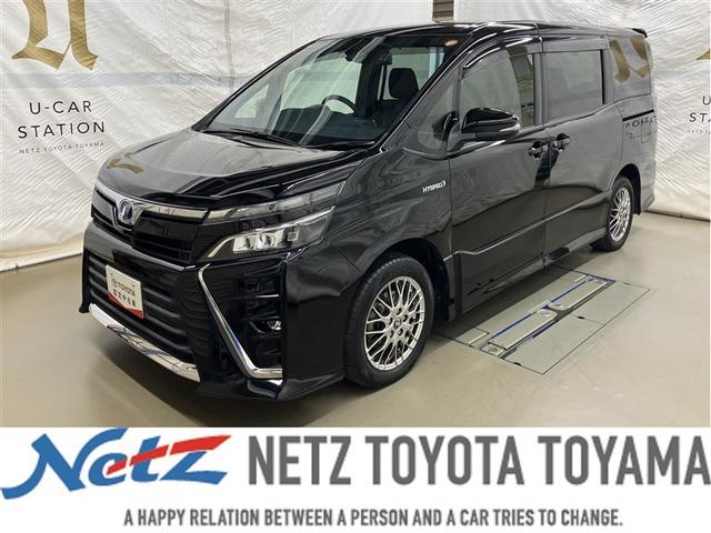  ϥ֥åɣڣӡե륻꡼ʥӡģ֣ĺ 1166012A20251031T002 1