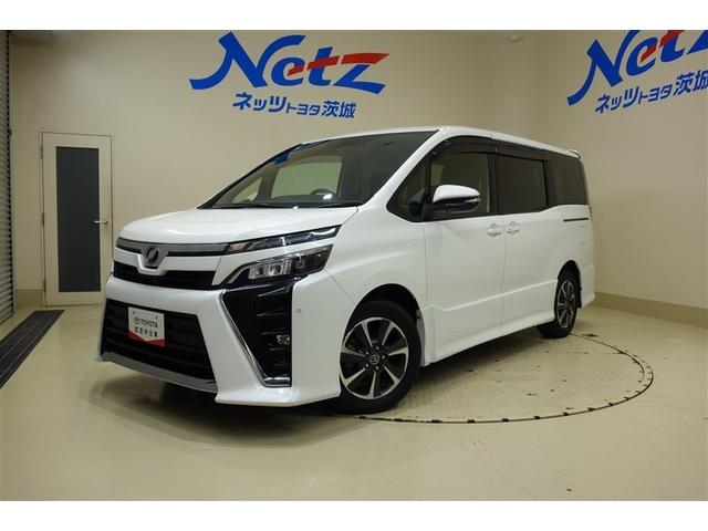 ȥ西  ڣӡʥӡե륻ԣ֥֡롼ȥ