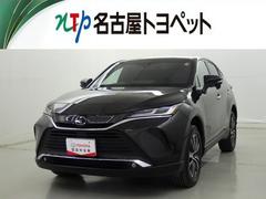 ȥ西ϥꥢǡﳲڸƥࡡե륻Хå