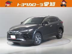 ȥ西ϥꥢǡﳲڸƥࡡ꡼ʥӡե륻