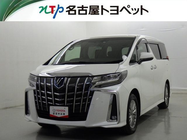 ȥ西 եɥϥ֥å ӣҡåѥåﳲڸƥࡡ꡼ʥ