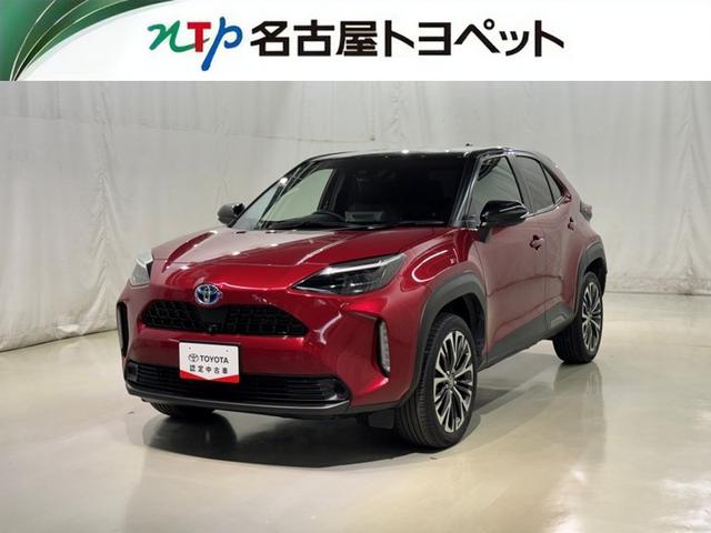 愛知・岐阜・三重・静岡在住で、現車確認可能な方への販売に限らせて頂きます