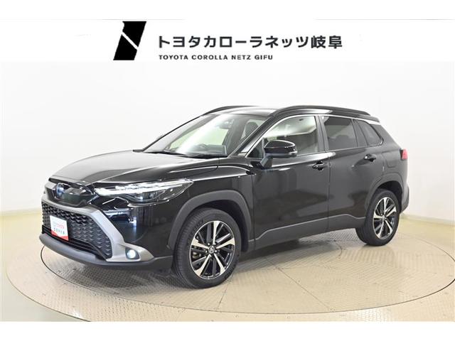 ŹΤߤȤƤޤ Ȥɤ˷кŪʥϥ֥åɥ󤴸Ƥڴ츩 1