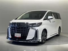 ե ӡåѥåξưɥ¥˥ϥǥʡꥢȥ󡡥ʥӥƥӡɻߡ륳󡡣ţԣüֺܴ̣ţĥإåɥ饤ȡޡȥ󡡥ѥơɥƥ󥨥Хåץ