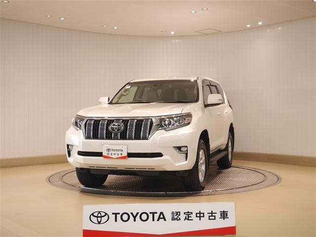 ȥ西 ɥ롼ץ ԣء̥ѥåݥաɻߵǽ